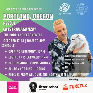 A promotional flier for the event including a person holding up a white cat.