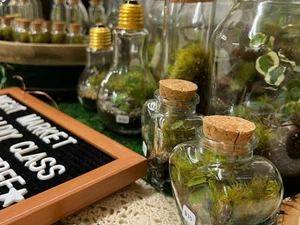 terrariums for sale at the Spring Home & Garden Show