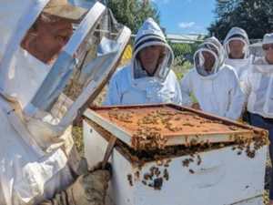 Beekeeper and staff in protective suits inspecting a hive at the Portland Expo Center.