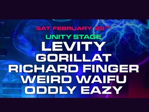 Graphic for the Saturday, February 28 Unity Stage lineup at the “Now More Than Ever” event. The neon background features blue lightning and abstract shapes. Artist names listed are Levity, Gorillat, Richard Finger, Weird Waifu, and Oddly Eazy.